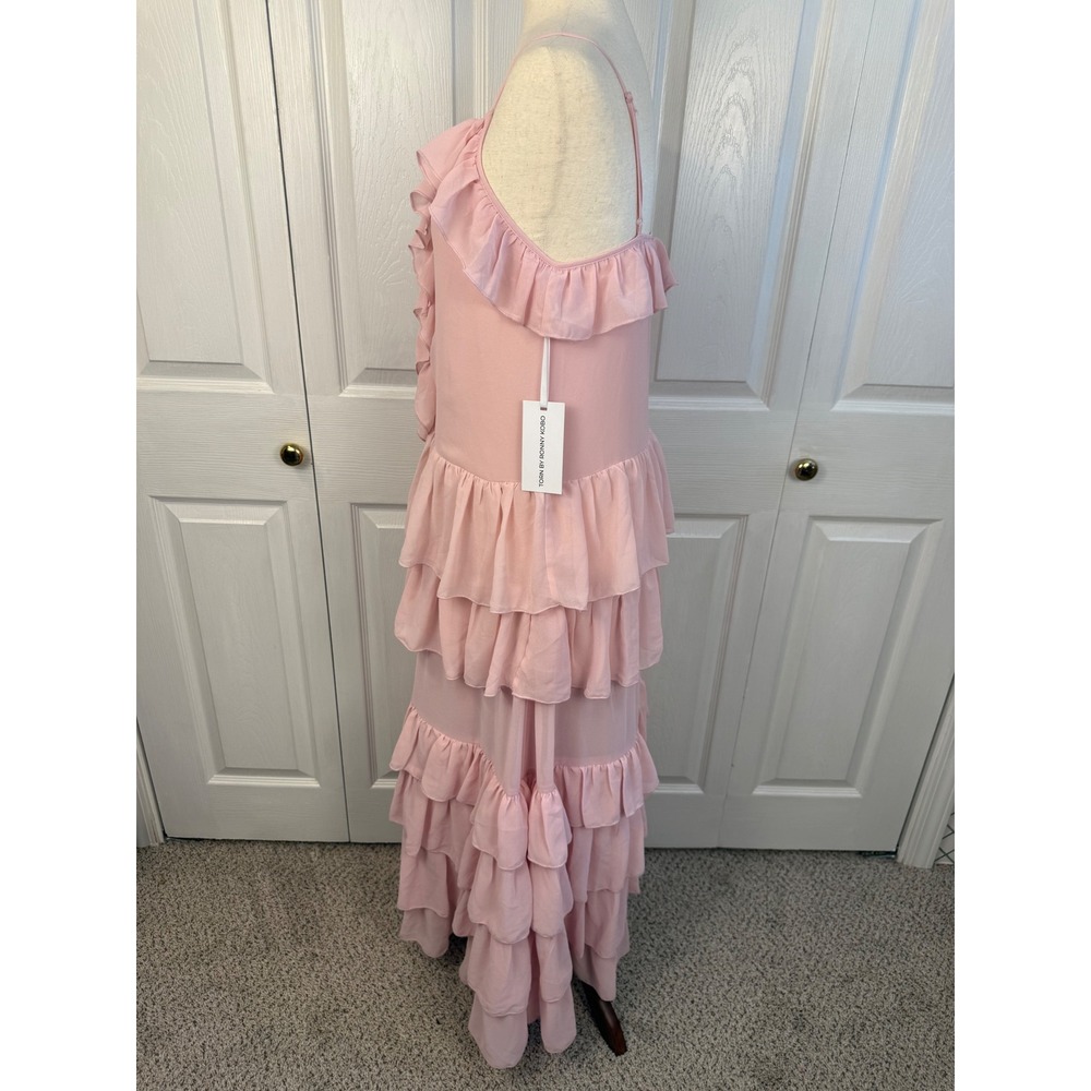 NWT Torn by Ronny Kobo Oracadia Dress Pink Ruffle Tiered Maxi Romantic Small - Picture 5 of 11